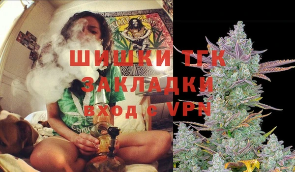 твердый Сосновоборск
