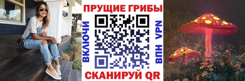 что такое наркотик  Партизанск  OMG ONION  Псилоцибиновые грибы Psilocybine cubensis 